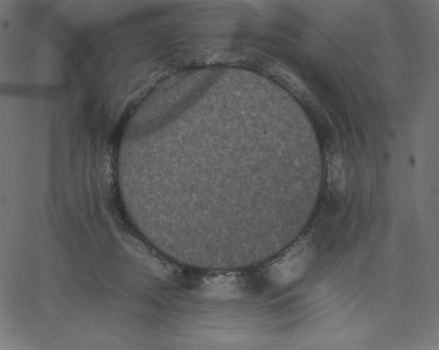 X0000067850362200604271651