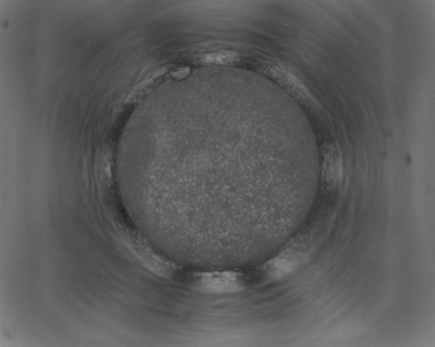 X0000067850363200604271651