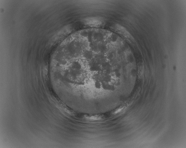 X0000067850365200604271651