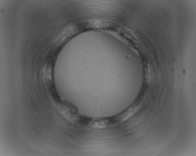 X0000067850368200604271651