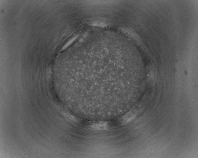 X0000067850369200604271651