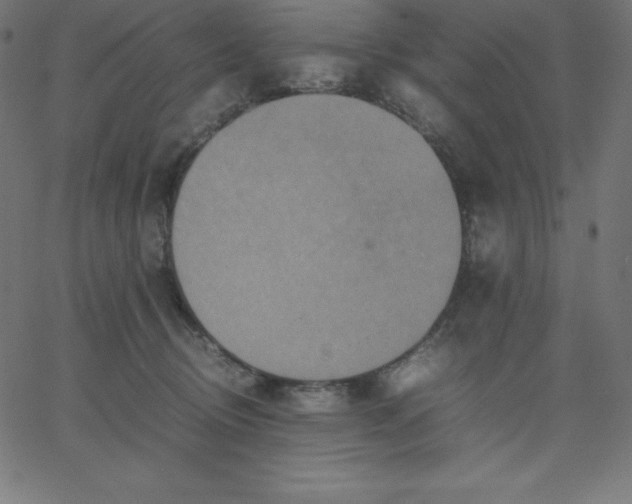 X0000067850370200604271651