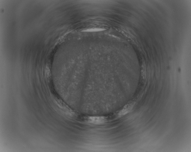 X0000067850371200604271651