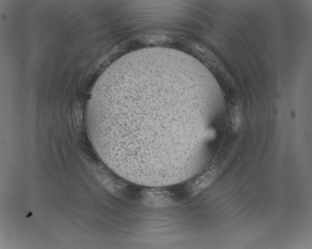 X0000067850372200604271651