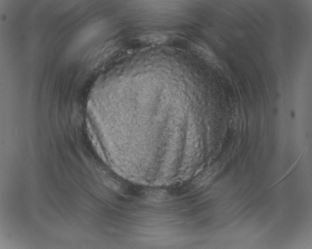 X0000067850374200604271651