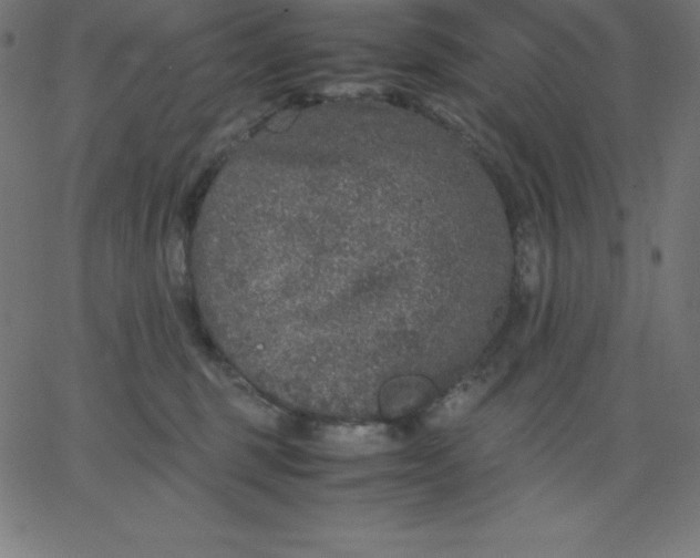 X0000067850375200604271651