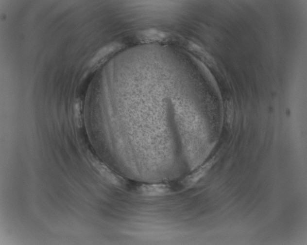 X0000067850378200604271651