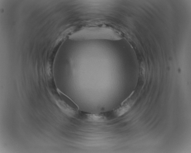 X0000067850380200604271651