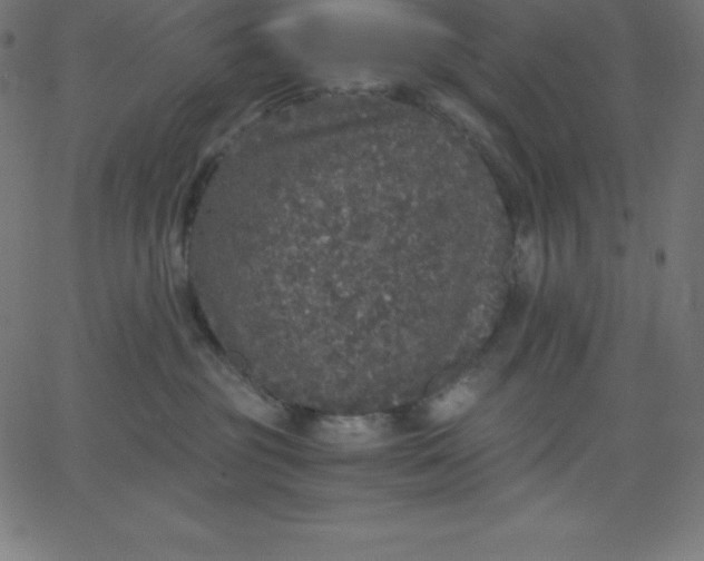 X0000067850381200604271651