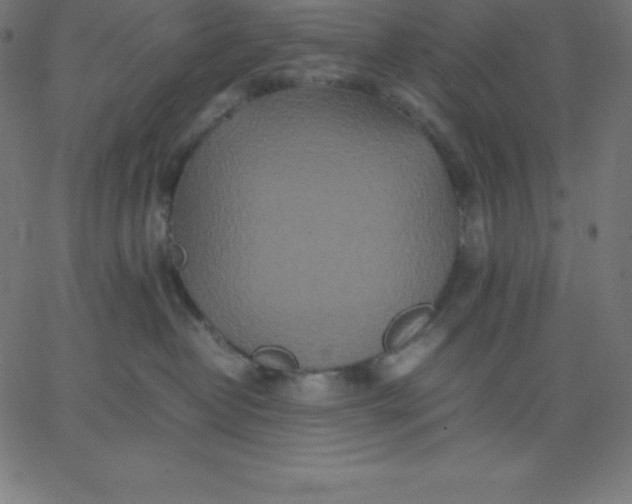 X0000067850382200604271651