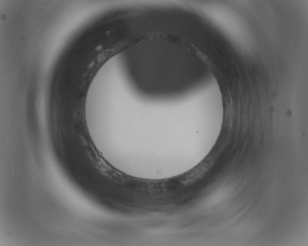 X0000067850383200604271651