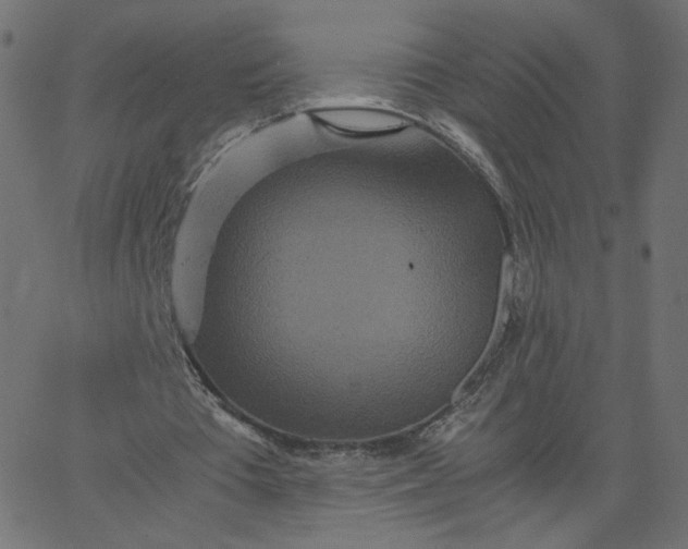 X0000067850385200604271650