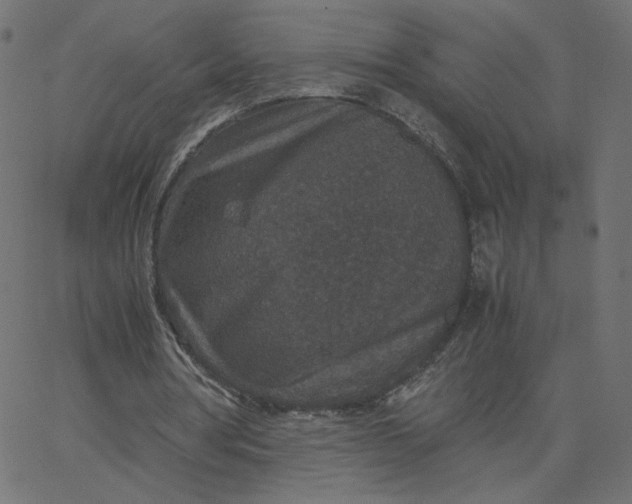 X0000067850386200604271650