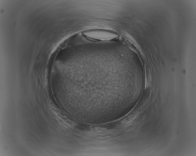 X0000067850387200604271650