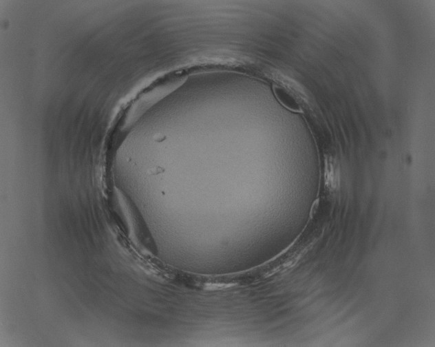 X0000067850388200604271650