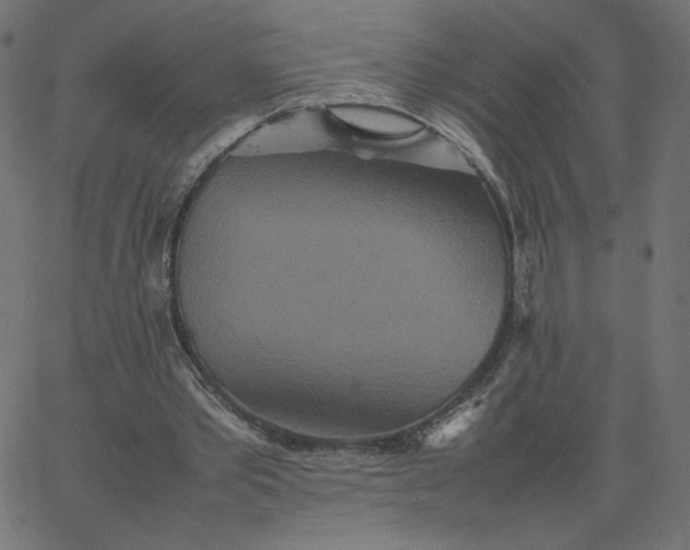 X0000067850389200604271650