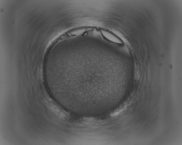 X0000067850391200604271650