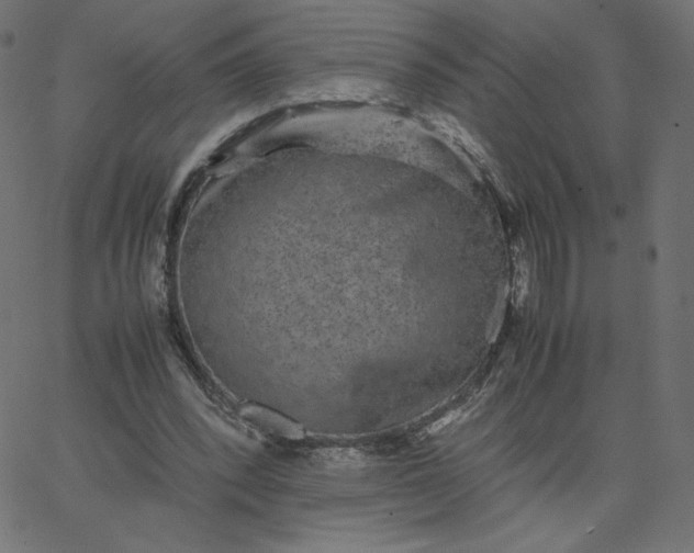 X0000067850392200604271650