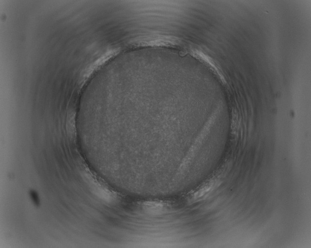 X0000067850394200604271650