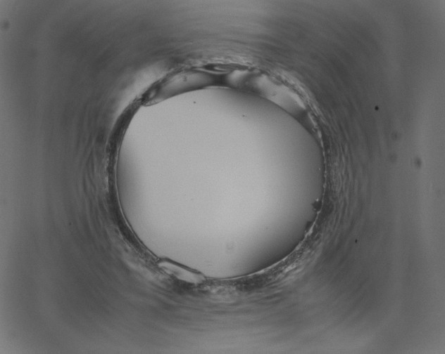 X0000067850395200604271650