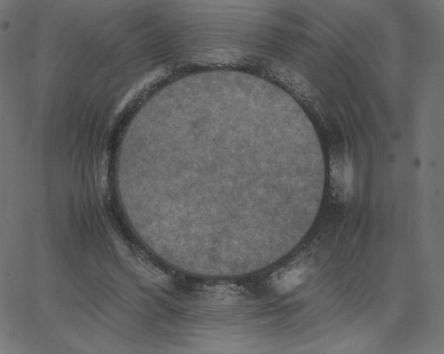 X0000067850396200604271650