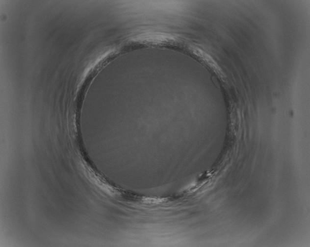 X0000067850399200604271650