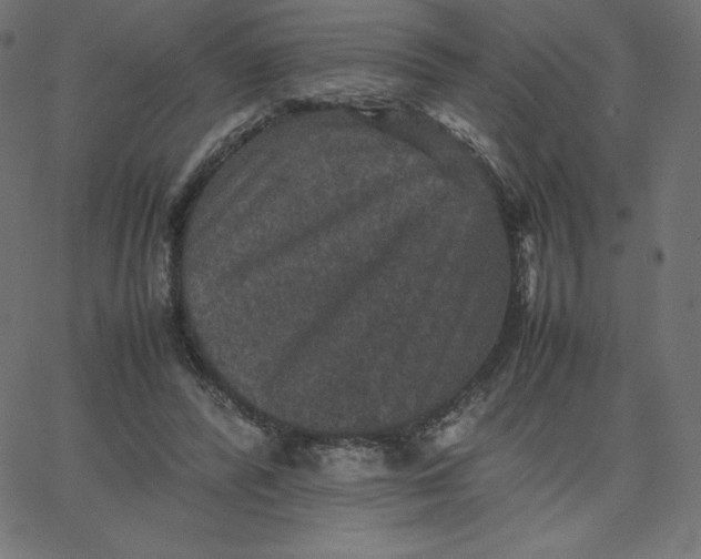 X0000067850400200604271650