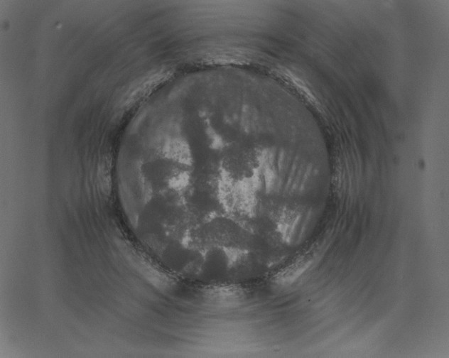 X0000067850402200604271650