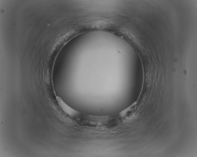 X0000067850403200604271650