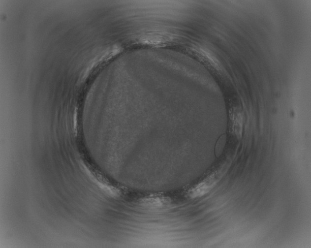 X0000067850404200604271650