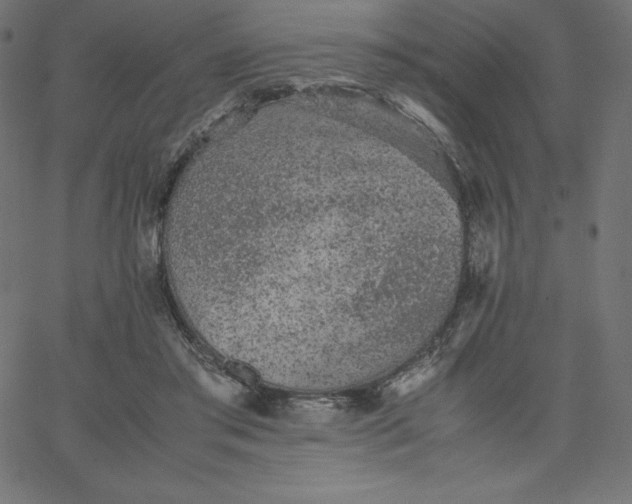 X0000067850405200604271650