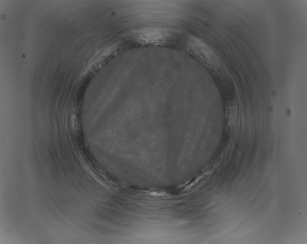 X0000067850408200604271650