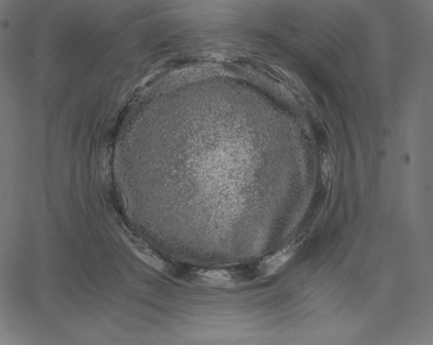 X0000067850409200604271650