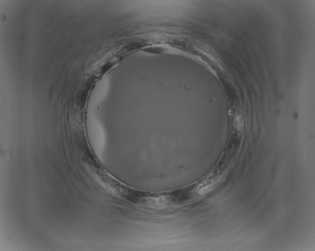 X0000067850411200604271650