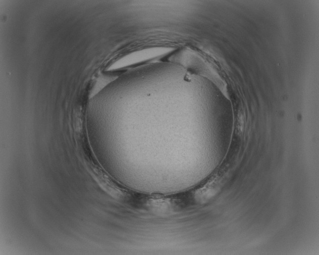 X0000067850413200604271650