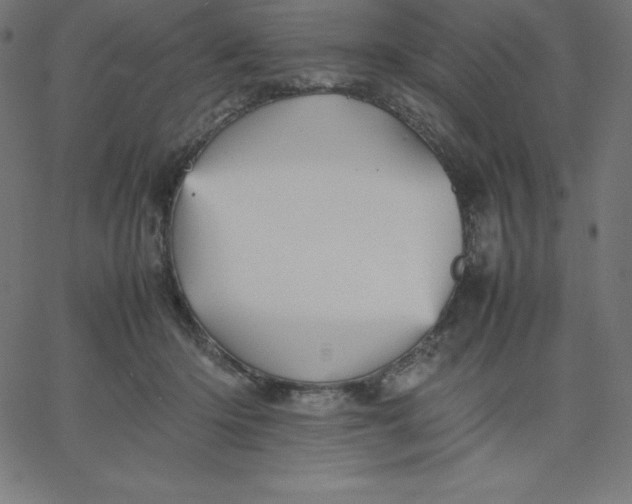 X0000067850414200604271650