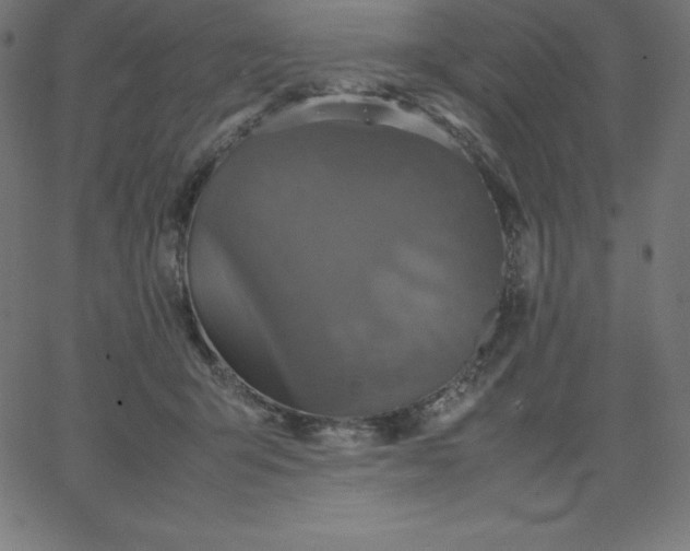 X0000067850415200604271650