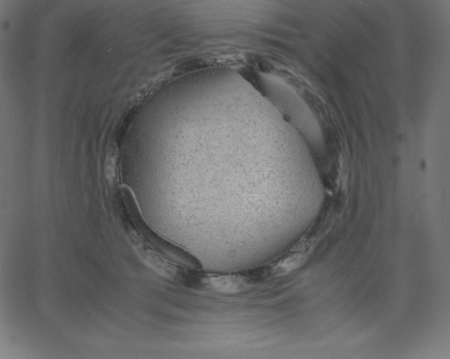 X0000067850417200604271650