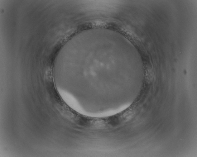 X0000067850419200604271650