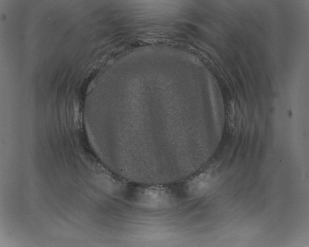 X0000067850420200604271650