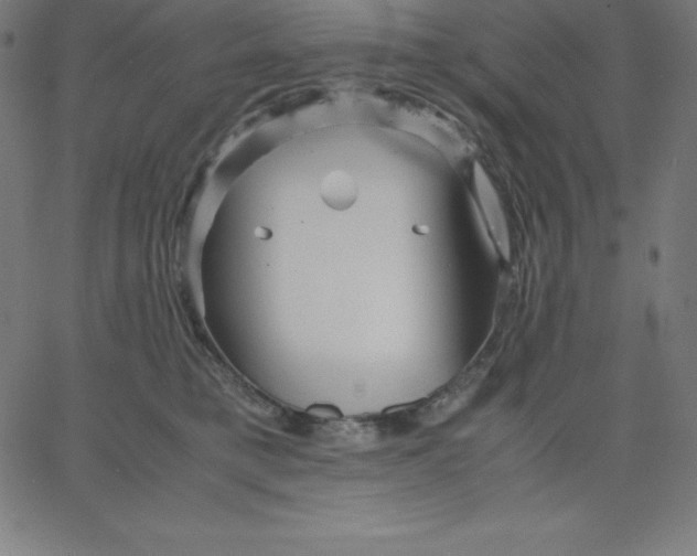 X0000067850421200604271650