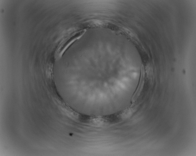 X0000067850423200604271650