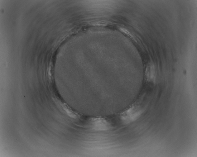 X0000067850424200604271650