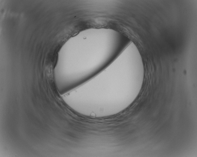 X0000067850425200604271650