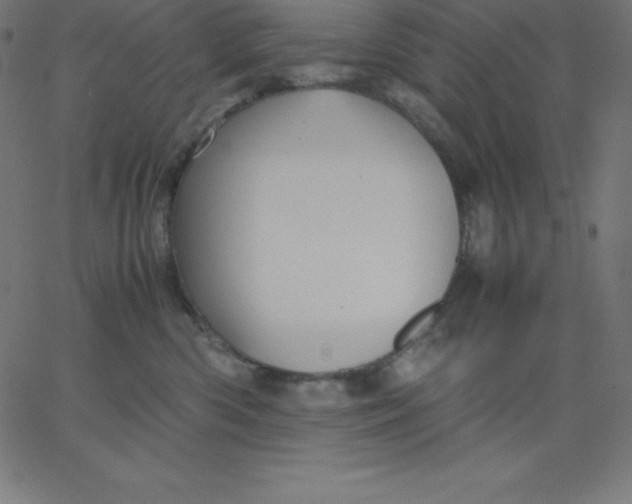 X0000067850426200604271650