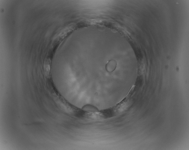 X0000067850427200604271650