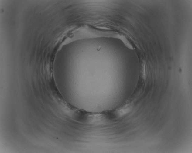 X0000067850428200604271650