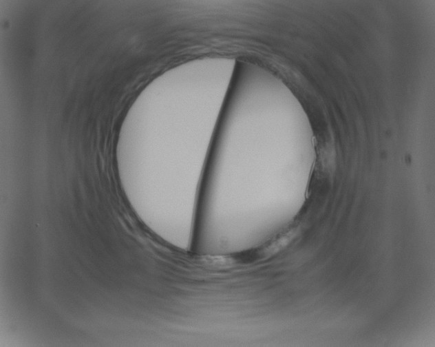 X0000067850429200604271650