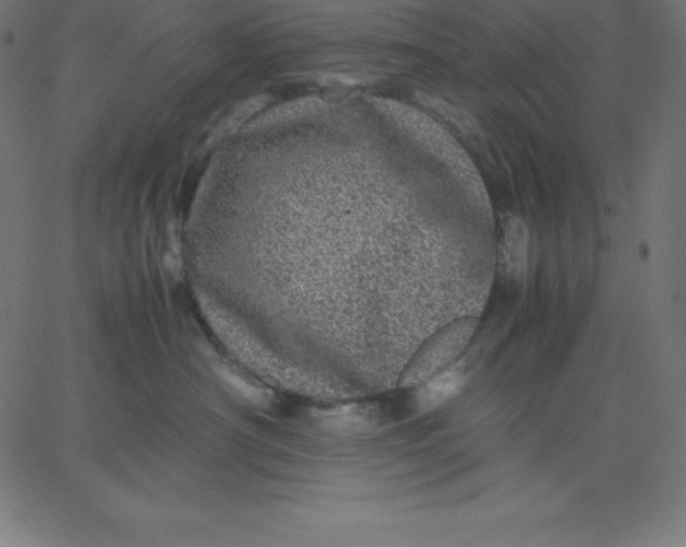 X0000067850430200604271650