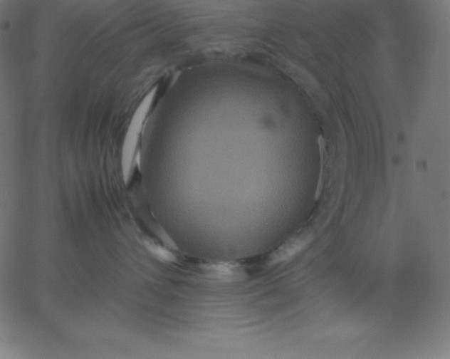 X0000067850432200604271650